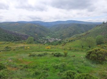 Tour Wandern Cubières - station Mont Lozère - Pont Monvert - Photo