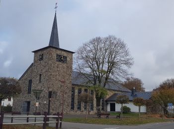 Randonnée A pied Saint-Vith - Wanderweg 5 - Weberbach - Photo