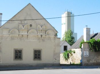 Tour Zu Fuß Gemeinde Mannersdorf am Leithagebirge - Mannersdorf - Sommerein (Adolf Wiener Weg) - Photo