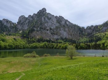 Randonnée A pied Gmunden - Wanderweg 22 - Photo