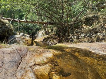 Tour Wandern Saint-Étienne-du-Valdonnez - Gorges du Bramont - Photo