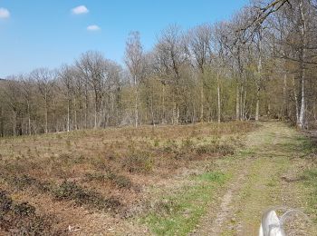 Percorso Equitazione Viroinval - Olloy 180421 - Photo
