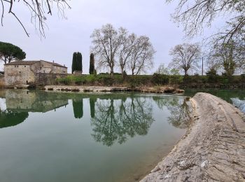 Randonnée Marche Marsillargues - Marsillargues_Aimargues - Photo