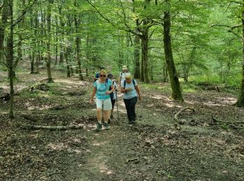 Randonnée Marche Rambouillet - la tour - Photo