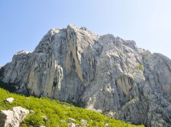 Tour Zu Fuß  - Bukova staza - Photo