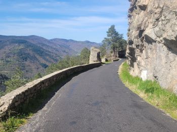 Tour Mountainbike Le Cheylard - rando vtt le Cheylard gorges de Eyrieux - Photo