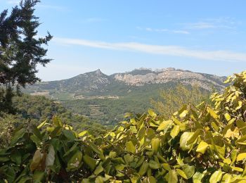 Tour Wandern La Roque-Alric - Le Carabelle 520m - Photo