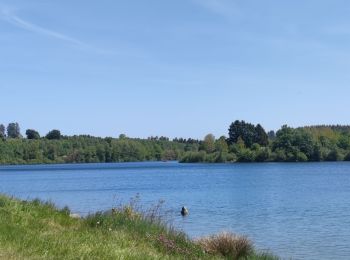 Excursión Senderismo Bütgenbach - A la découverte du Lac de Butgenbach - Photo