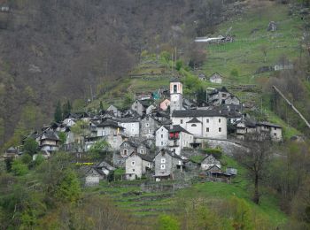 Randonnée A pied Verzasca - Corippo - Perbioi - Photo