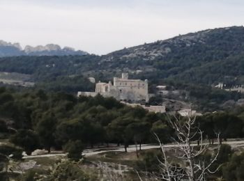 Tour Wandern Caromb - lac du paty petit circuit - Photo