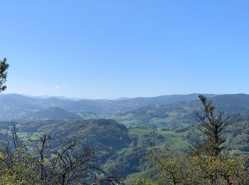 Randonnée Marche Fréland - Aubure - Photo