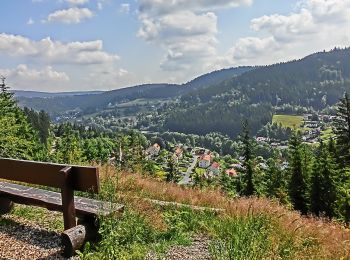 Trail On foot Warmensteinach - Warmensteinach Rundwanderweg Nr. 9 - Photo