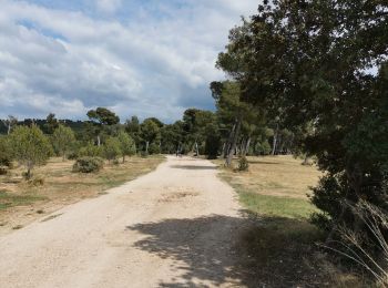 Excursión Senderismo Rognac - Vallon de Mion  - Photo