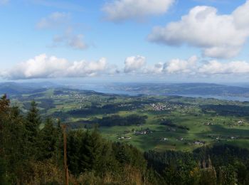 Randonnée A pied Menzingen - Dreiländerstein - Gottschalkenberg - Photo