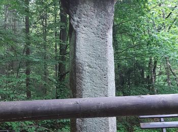 Tocht Te voet Mossautal - Rundwanderweg Mossautal Harrasloch 3: Siegfriedbrunnen-Weg - Photo