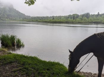 Tour Reiten Le Frasnois - suuntoapp-HorsebackRiding-2024-05-22T07-07-14Z - Photo