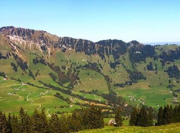 Trail On foot Dallenwil - Dominikpfad - Photo