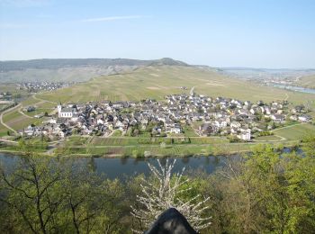 Randonnée A pied Minheim - Sonneninselrundweg - Photo