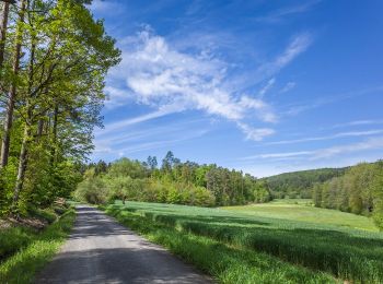 Percorso A piedi Ebern - Lauftour EBN2 - Photo