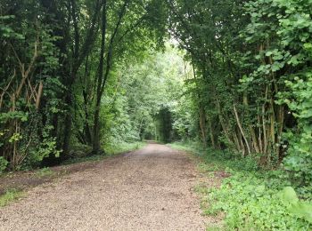 Tocht Stappen Vadencourt - Vadencourt- Tupigny - Photo