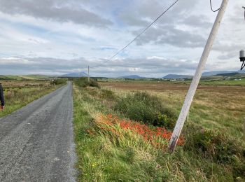 Tour Wandern Westport-Belmullet Municipal District - Killadoon beach loop - Photo