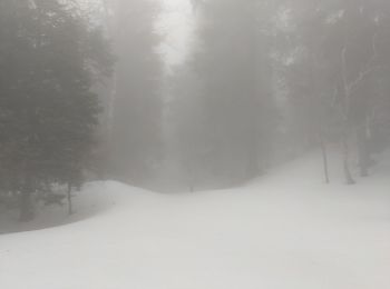 Percorso Racchette da neve Autrans-Méaudre en Vercors - Pas de la clé - Photo