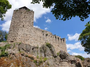 Tour Wandern Dambach - Dambach-la-Ville : Circuit des trois châteaux - Photo