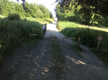 Tocht Stappen Campagne-lès-Guines - sentier du camp du Drap d'Or - Photo