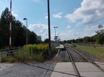 Excursión A pie Nebra (Unstrut) - Weinweg Reinsdorf-Steigra-Karsdorf - Photo