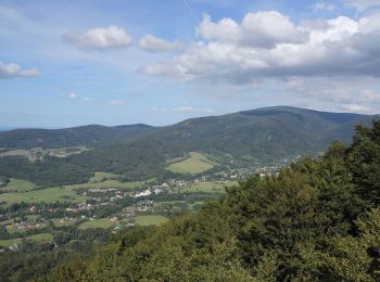 Tour Zu Fuß Haindorf - [Ž] U Čihadel - Pod vodopády - Photo