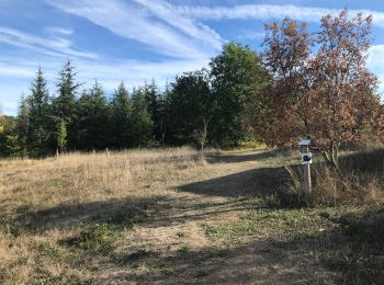 Tocht Stappen Buzet-sur-Tarn - Buzet - Photo