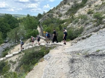 Randonnée Marche Quinson - Quinson Verdon 13 km - Photo