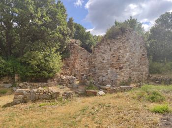 Randonnée Marche Gaujac - Gaujac - Oppidum - Photo