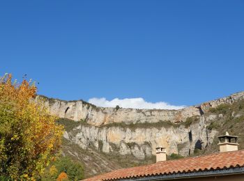 Randonnée Marche Tournemire - tournemire A/R par Roucangel - Photo