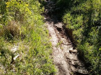 Randonnée Marche Montclar-sur-Gervanne - Col de Gerbe - Photo