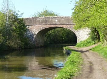 Percorso A piedi Wychavon - Hanbury Circular Walk - Photo