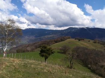 Tocht Stappen Montchaboud - montchaboud 2019 - Photo