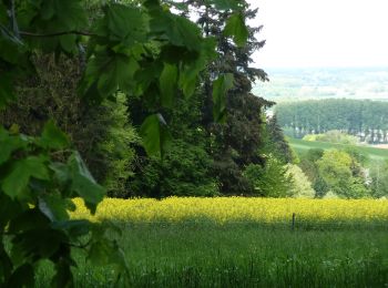 Trail On foot Preußisch Oldendorf - A2 Preußisch Oldendorf-Eininghausen - Photo