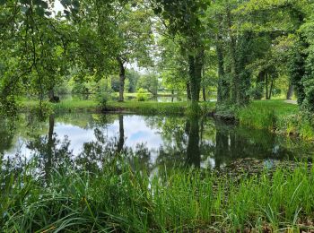 Trail Walking Cesson-Sévigné -  cesson - Photo