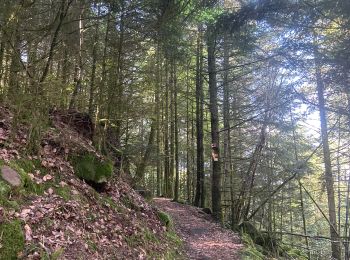 Randonnée Marche Saulcy-sur-Meurthe - Les roches du Kemberg - Photo