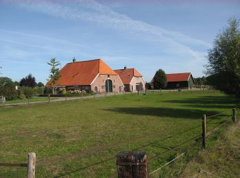 Tour Zu Fuß Bronckhorst - De Wildenborch Route - Photo