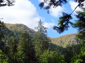 Randonnée Randonnée équestre Stosswihr - 2018-08-26 Picnic CVA Cascades Stosswihr - Photo