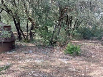 Randonnée Marche Baudinard-sur-Verdon - baudinard sur Verdon  - Photo