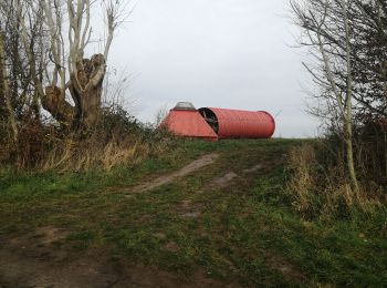 Trail Walking Binche - Antenne d'anderlues - Photo