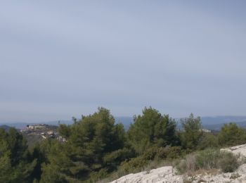 Excursión Marcha nórdica Tolón - château vallon  - Photo