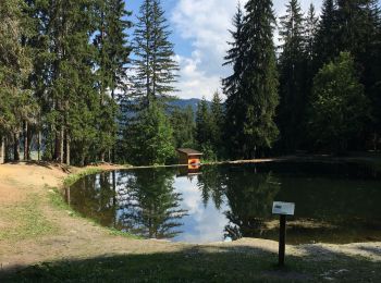 Tocht Stappen Praz-sur-Arly - Lac les evettes - Photo