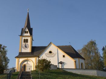 Excursión A pie Sinabelkirchen - Wanderweg 3 - Photo