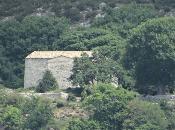 Tocht Te voet Coursegoules - Circuit du Viériou - Photo