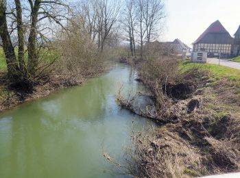 Percorso A piedi Untermerzbach - Rundwanderweg Milan Untermerzbach - Photo