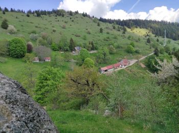 Trail Walking Wasserbourg - Boenlesgrab - Photo